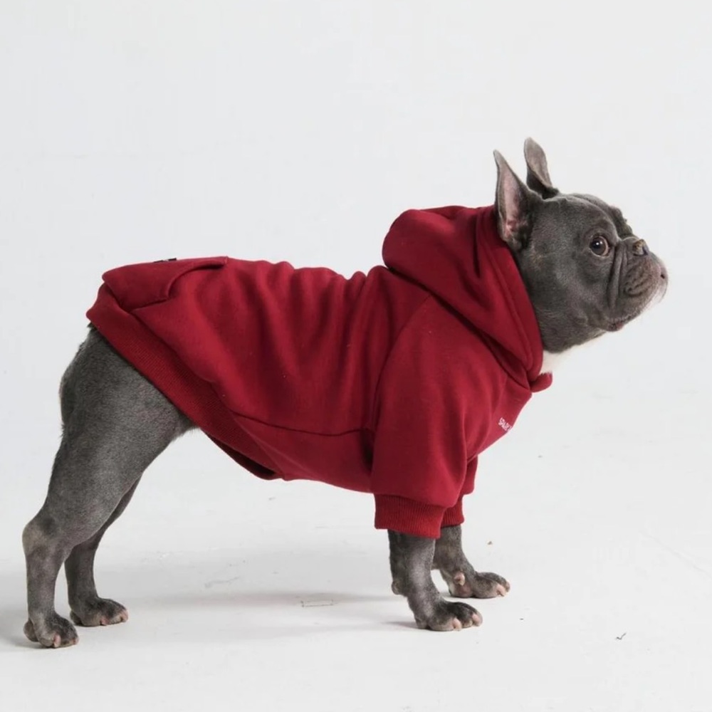 Spark paws Dog Hoodie - Burgundy size large